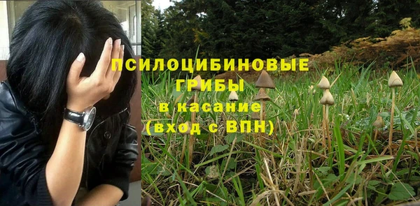 MESCALINE Арсеньев